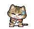 cat 14